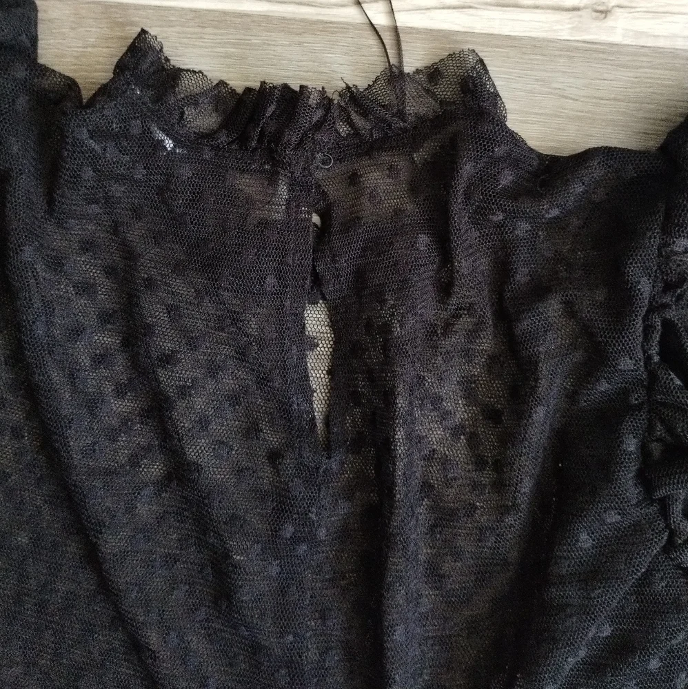 Zara Sheer Black Ruffled Blouse Large